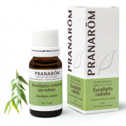 Pranarom Eucalipto Radiata Ae 10 Ml.
